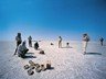 Lunch on the Makgadikgadi salt pans