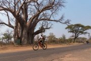 Bike tour in Victoria Falls