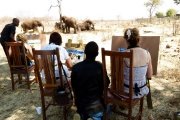 Art with the elephants in Victoria Falls