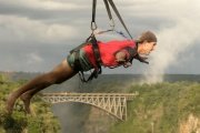 Flying fox  in Victoria Falls