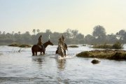 Horse back safari in Victoria Falls