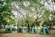 Victoria Falls Rest Camp campsite, Zimbabwe