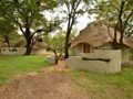 Thatched forest chalets