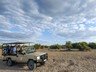 Safaris include game drives