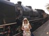 Bushtracks Steam train