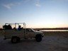 Guests going on a game drive