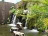 Beautiful water features at Kindgom Hotel