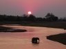 Sunset and the Chobe River (photo - Marg Phelps)