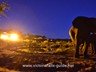 Evening at the waterhole