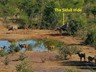 Location of the Siludi Hide
