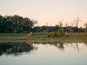 Tents in front of the waterhole