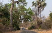 Biking through the wilderness