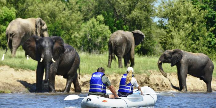 Canoe safaris on the Zambezi