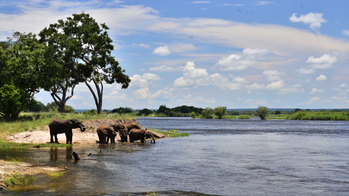 Zambezi River inom Zambezi National Park nära Victoria Falls, Zimbabwe