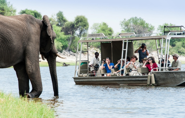 A Zambezi Queen river cruise