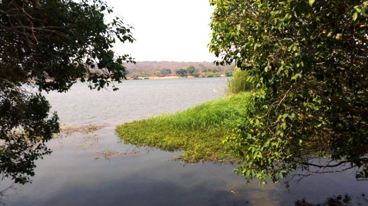 Zambezi River property