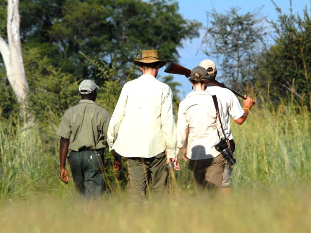 Bush walk in the Zambezi National Park near Victoria Falls in Zimbabwe